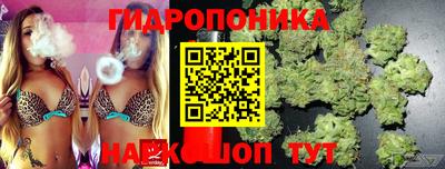 ГАЛЛЮЦИНОГЕННЫЕ ГРИБЫ Аргун