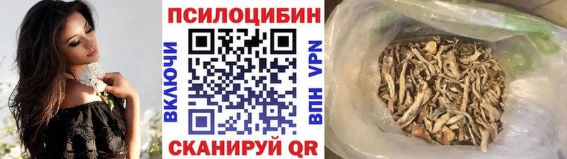 Псилоцибиновые грибы Cubensis  цены   Назарово 